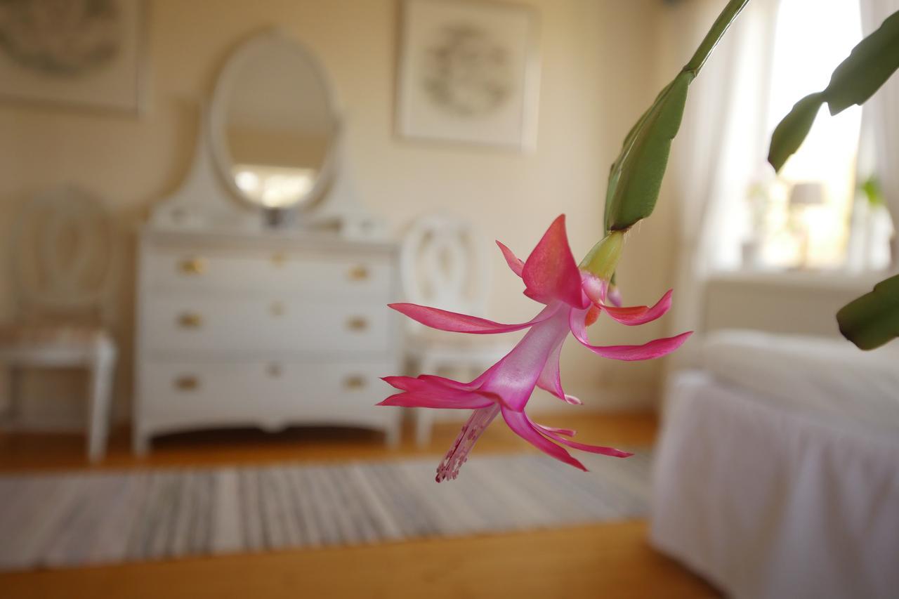 Groena Anaes Bed and Breakfast ostra Loa Esterno foto